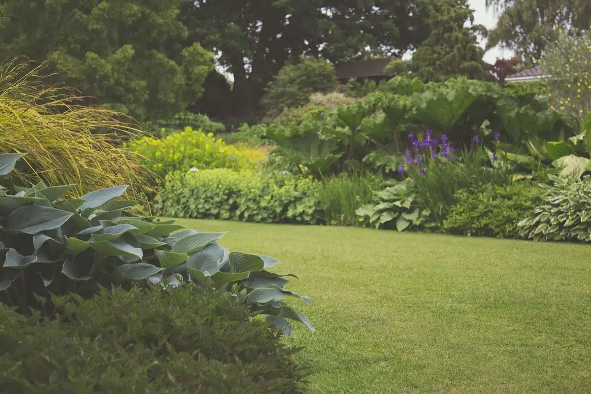 jardin aménagement