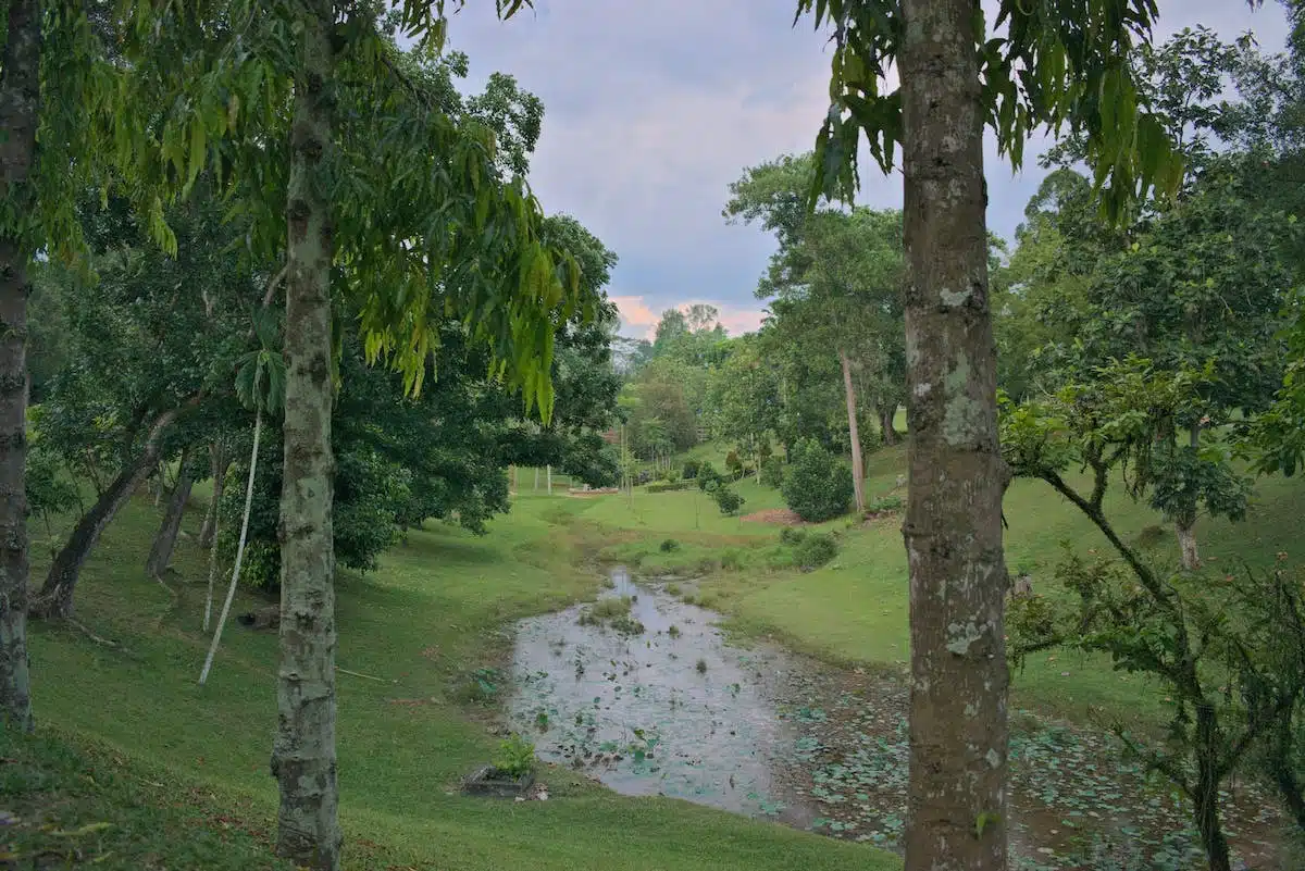 jardin économique