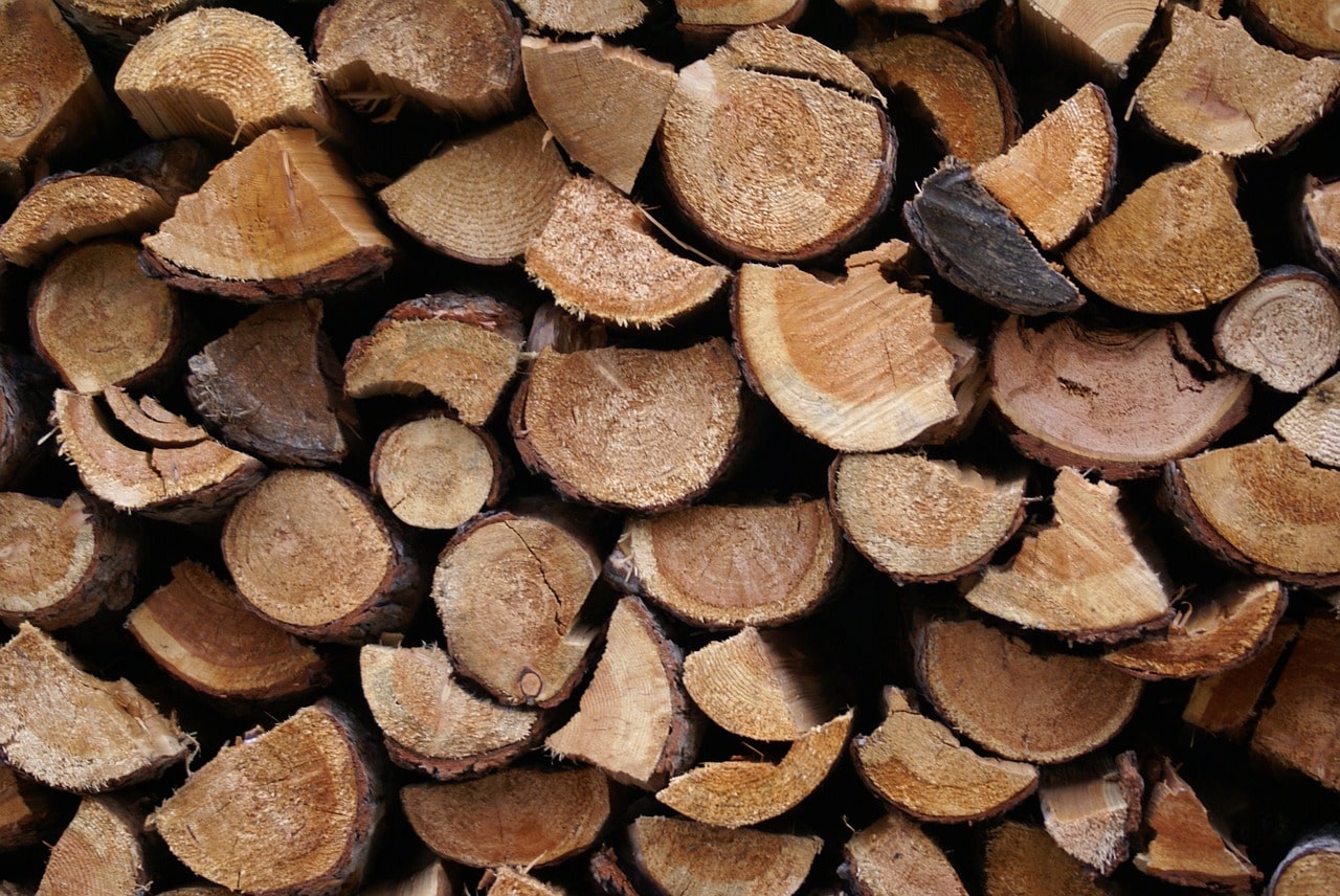 bûches de bois