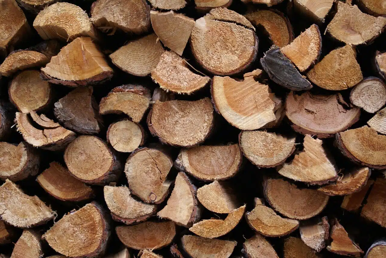 bûches de bois